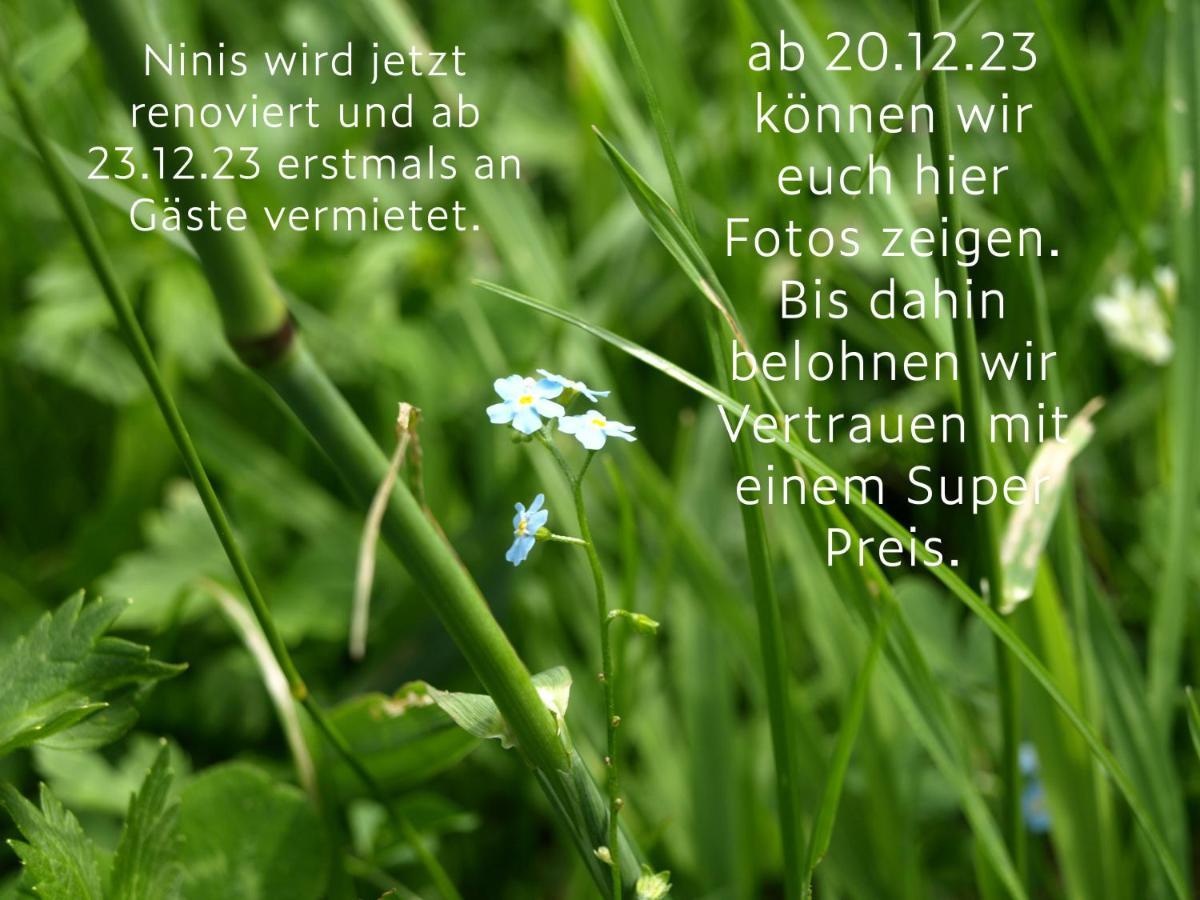 Ninis - Ferienhaus Im Bregenzerwald Egg Ngoại thất bức ảnh